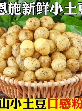 土豆新鲜恩施现挖黄心土豆洋芋农家自种蔬菜马铃薯960g/5/9斤批发