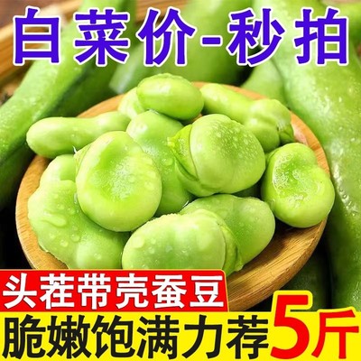 蚕豆新鲜5斤农家自种应季蔬菜