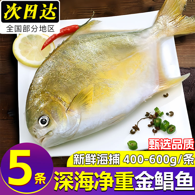 深海大金鲳鱼新鲜冷冻海捕金昌鱼海昌鱼平鱼海鲜水产海鱼海鲜顺丰