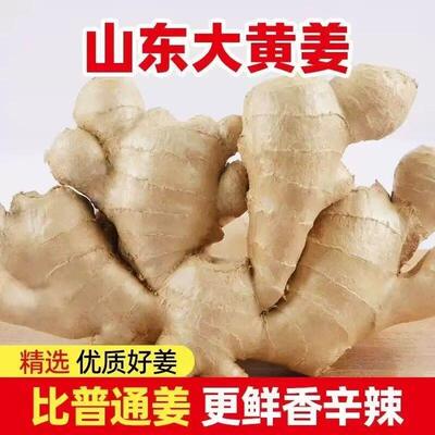 正宗山东生姜老姜大姜新鲜农家黄姜月子干姜农家种植姜块老姜