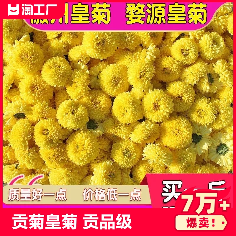 菊花茶婺源皇菊徽州500g黄山贡菊黄菊花草茶散装泡水花茶袋装夏季