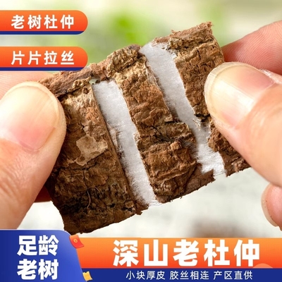 野生杜仲中药材正品杜肿杜仲老树厚皮树皮泡酒非特级配巴戟天泡茶