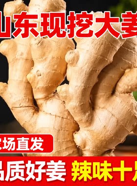 山东特产生姜大黄姜新鲜辛的大块姜1斤3斤5斤包邮农场当季食用
