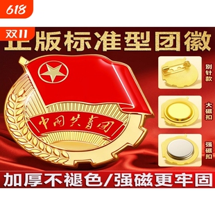 团徽2cm强磁磁吸胸针新版标准正版安全别针大磁铁中国共青团员徽章青年不易监制学校批发团购7新款带字蝴蝶扣