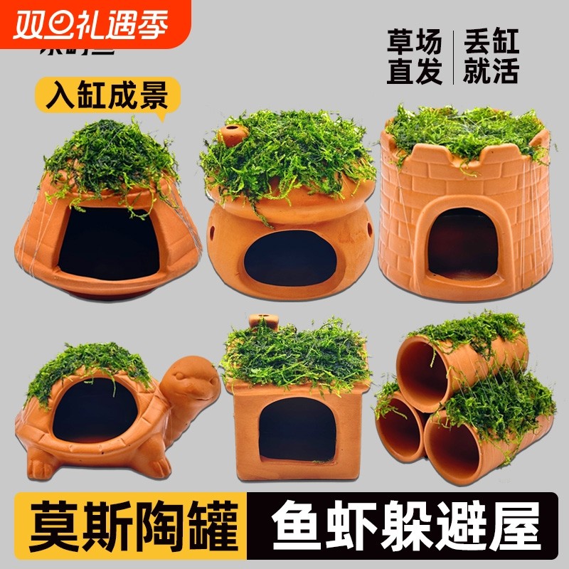 水屿鱼鱼缸水草造景莫斯水草懒人真植物躲避罐陶罐虾屋摆件小鱼躲