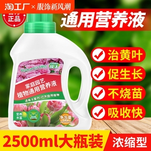 营养液植物通用型绿萝富贵竹发财树多肉水培养花卉绿植盆栽花肥料