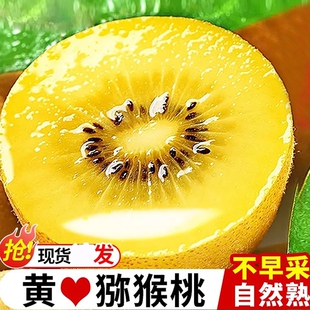 黄心猕猴桃新鲜包邮大果旗舰店奇异果金果孕妇水果泥猴桃批发送礼