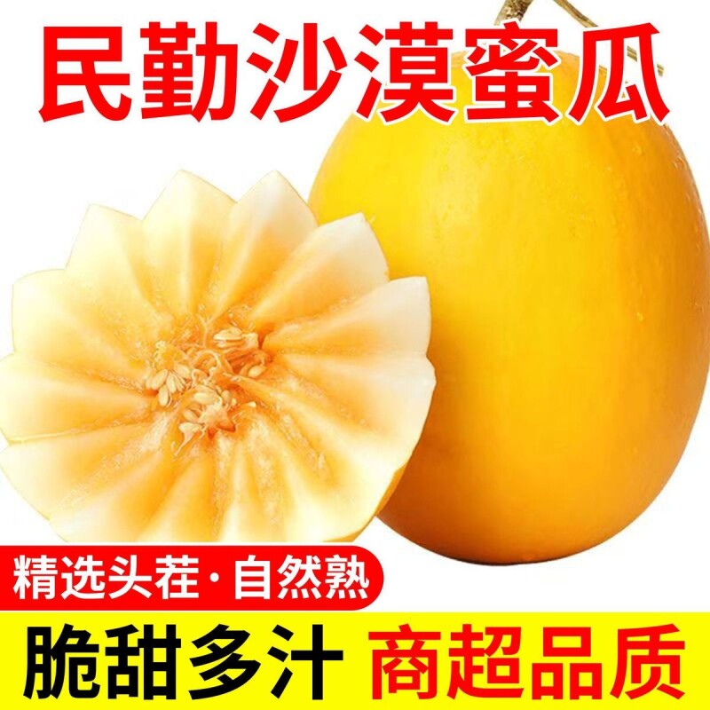 正宗民勤黄河蜜瓜现采沙瓤细腻清甜无催熟当季解暑生鲜甜瓜发货