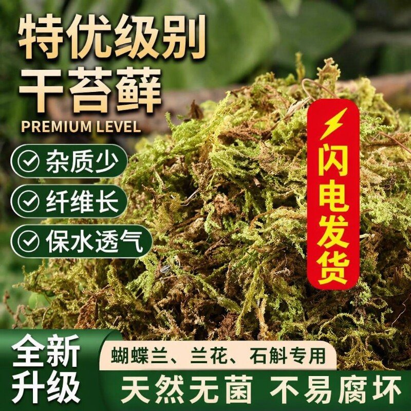 干苔藓水苔青苔兰花蝴蝶兰石斛种植专用营养土乌龟垫材鲜活铺面