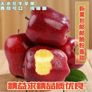 整箱新鲜现摘 刮泥神器 送礼优选 甘肃天水正宗花牛苹果 年货必囤
