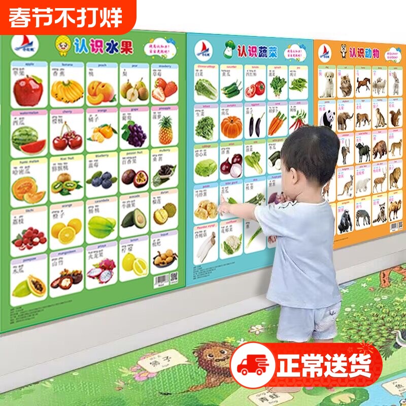 撕不烂防水宝宝认知挂图认识数字车辆植物看图识字水果儿童早教无声学