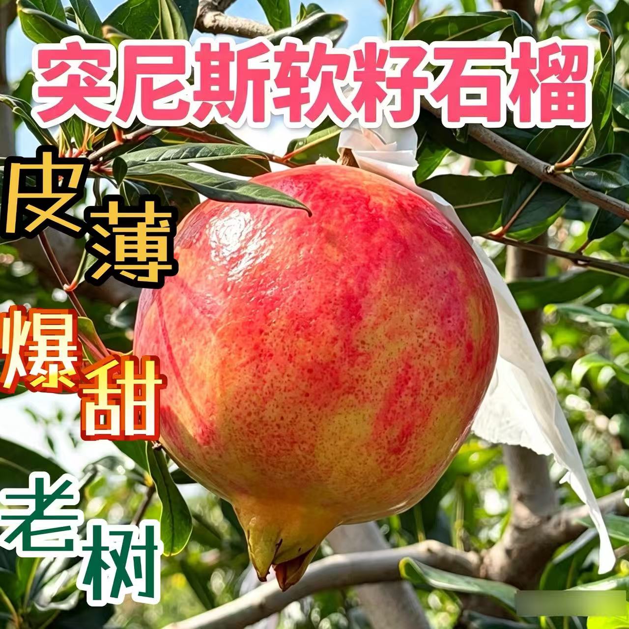 突尼斯软籽石榴新鲜当季水果图片