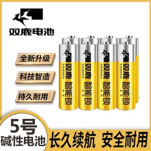 双鹿电池1.5V电子锁专用碱性LR6电池指纹锁密码锁智能门锁儿童玩具防盗门遥控器五号AA干电池不漏液