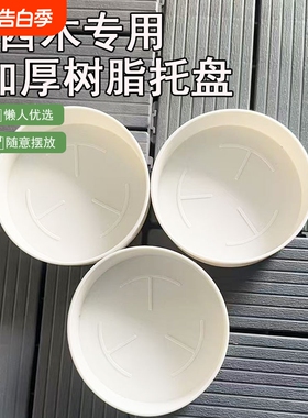 批发白色塑料花盆托盘底托圆型巴西木移动底座接水盘水培绿植桌面