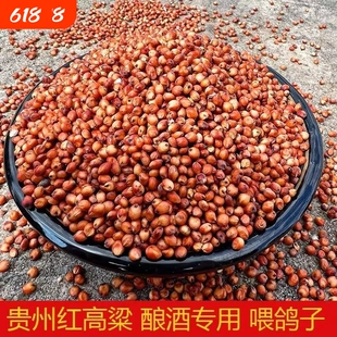 高粱酿酒专用高粱米新米红高粱带壳带皮高粱喂鸽子鸽用贵州红高粱