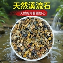 饰过滤造景小石子豆石养鱼 5斤天然鹅卵石原生溪流石鱼缸铺底砂装