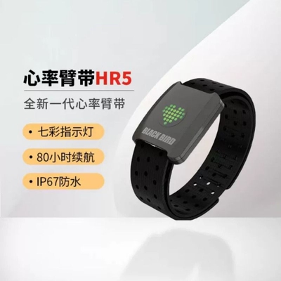 黑鸟Blackbird心率臂带HR5心率监测运动跑步骑行健身户外防水蓝牙