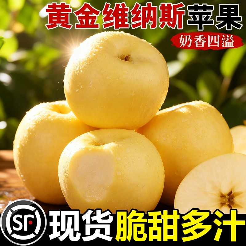 山东烟台黄金维纳斯苹果当季水果奶油红富士冰糖心甜包邮脆甜多汁