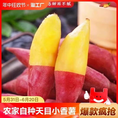 正宗临安天目山小香薯2/3/5斤新鲜板栗红薯农家番薯蜜薯地瓜蔬菜