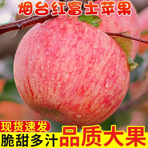 正宗山东烟台红富士苹果