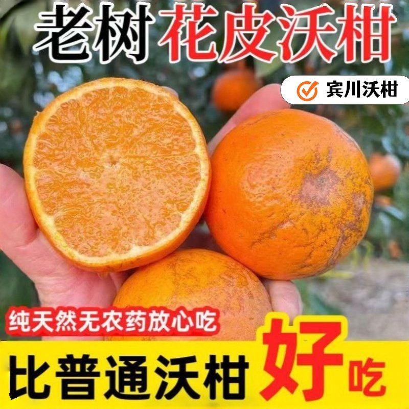 【正宗】云南宾川沃柑桔子现货应季高山薄皮桔子水果桔子整箱批发,水产肉类/新鲜蔬果/熟食,桔子,淘宝优惠券,粉丝福利购,淘宝优惠卷