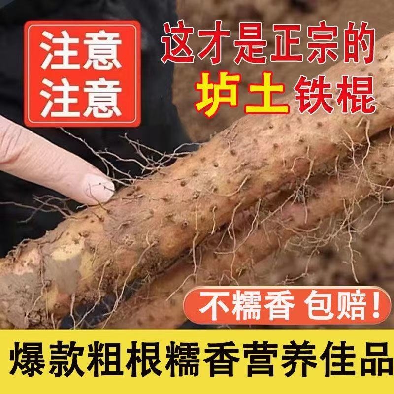 正宗河南焦作温县垆土铁棍山药新鲜粉糯怀淮山生铁杆包邮当季滋补