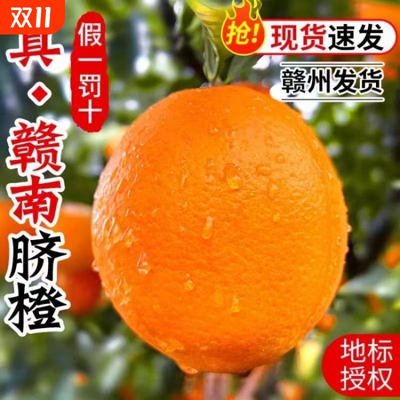 正宗江西赣南脐橙新鲜橙子10斤大果当季孕妇水果赣州产地直发果农