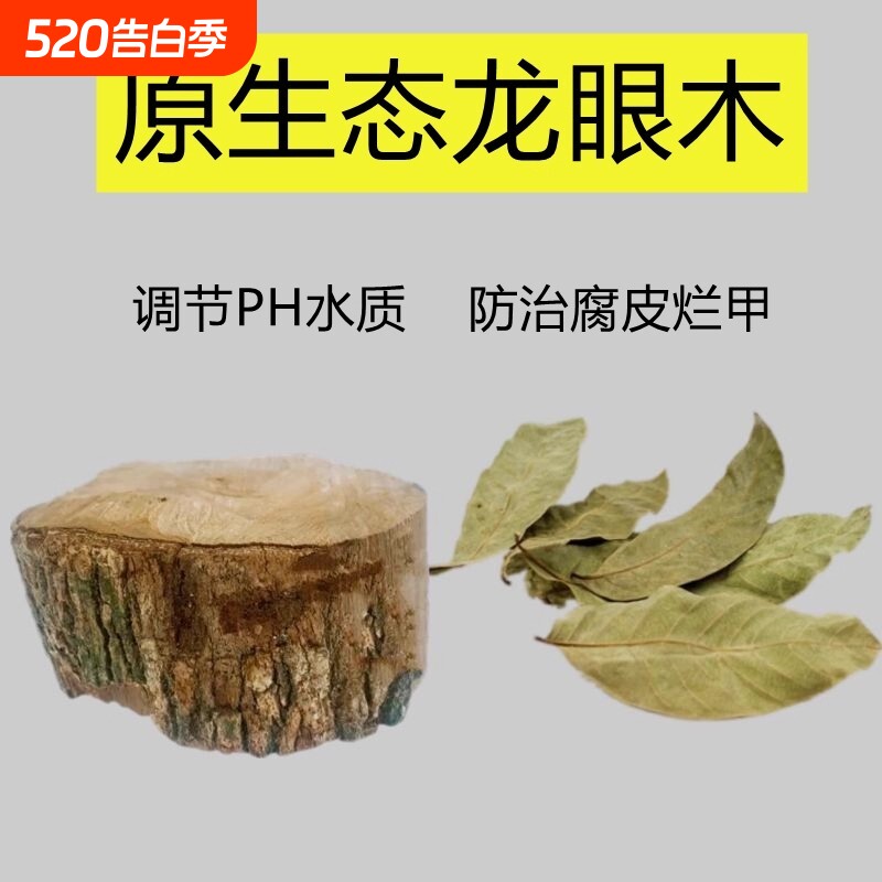 乌龟天然龙眼木晒台龟缸造景沉木摆件防腐皮腐甲龙眼叶养龟休息台