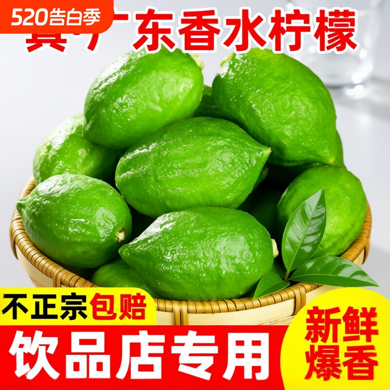 广东香水柠檬新鲜正宗青柠檬无籽一级果水果奶茶店专用香柠檬鲜果
