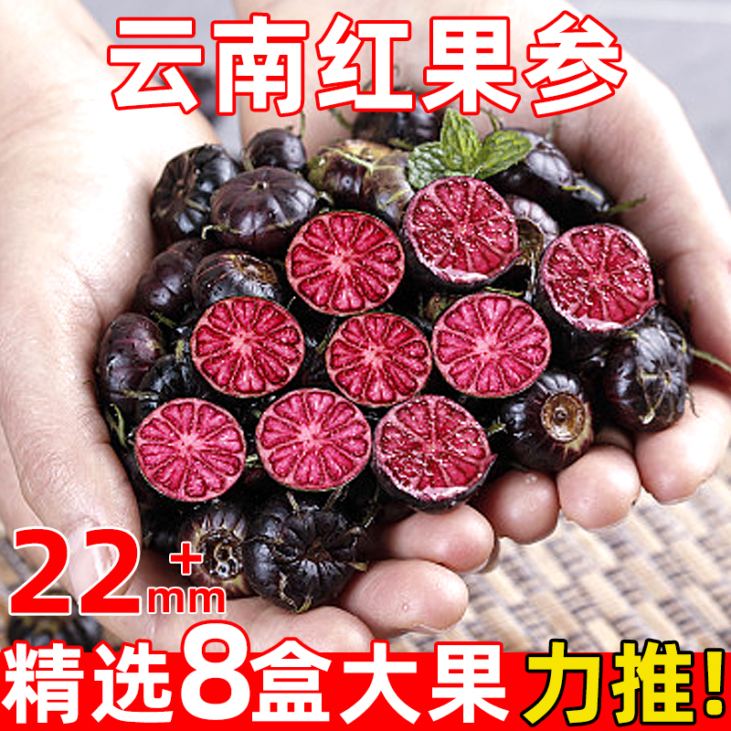 云南红果参当季蜘蛛果新鲜水果稀罕见现摘算盘果高原当季整颗食用