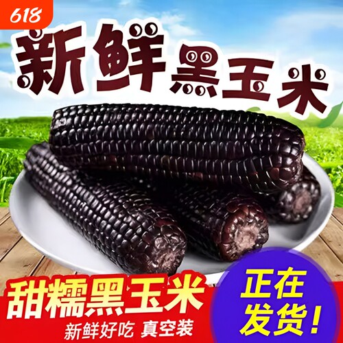 黑甜糯玉米真空包独立包装玉米棒新鲜黑糯玉米真空装年货代餐健康
