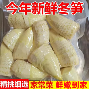 竹笋冬笋新鲜2025新鲜水煮笋野生竹笋春笋蔬菜火锅清水笋楠竹笋