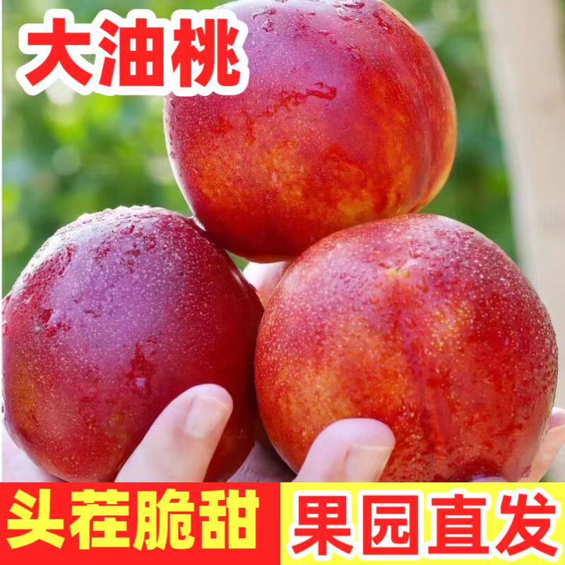 脆甜油桃头茬黄心新鲜应季水果当季黄肉油黄肉桃子整箱批发