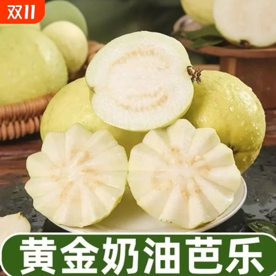 甄选云南高山白心芭番石榴新鲜水果现摘奶油芭乐软糯