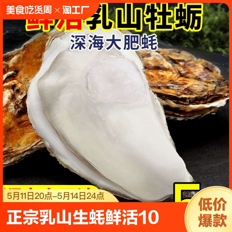 包鲜包活包肥乳山生蚝现捞现发