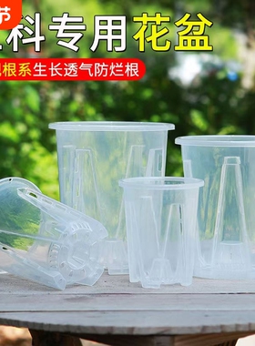 蝴蝶兰专用花盆兰花水苔透明控根生根盆塑料镂空防烂家用田园阳台