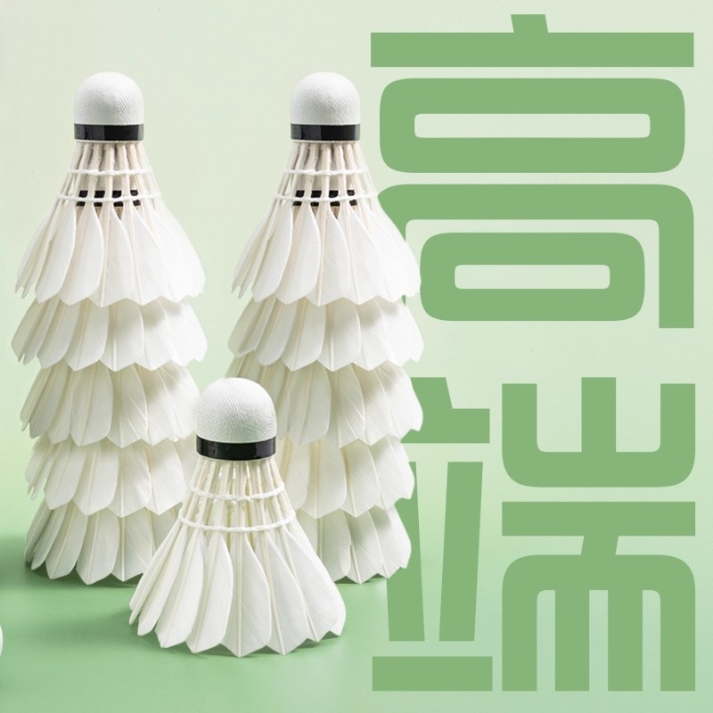 羽毛球正品耐打王室内室外训练用球6只装12只装防风稳定不易打烂