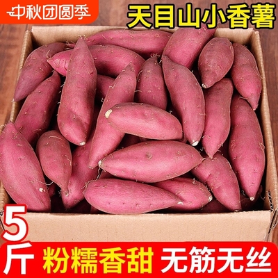 正宗临安小香薯板栗红薯农家自种番薯山芋地瓜新鲜粉糯香甜天目
