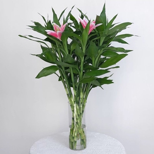 圆筒玻璃花瓶酒店客厅插花富贵竹特大特高透明圆柱形直筒容器落地