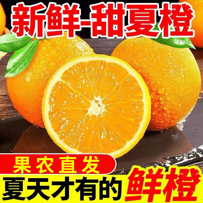 正宗伦晚橙子当季新鲜橙子现摘甜橙应季水果批发整箱高山橙子现摘
