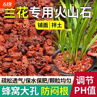 火山石养花蝴蝶兰花专用小颗粒多肉铺面石子鱼缸造景底部砂石石头