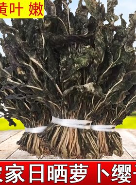 新货萝卜叶干菜红萝卜叶白萝卜叶子干脱水萝卜缨子批发新鲜凉拌