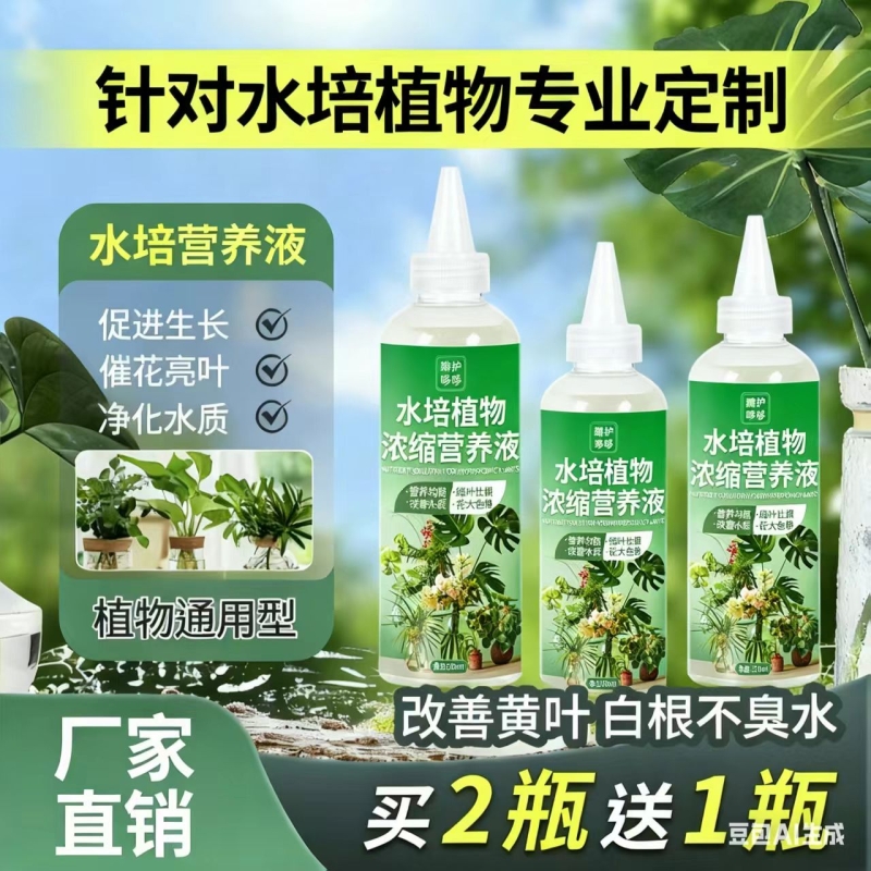 水培营养液一滴焕生机改善黄叶水