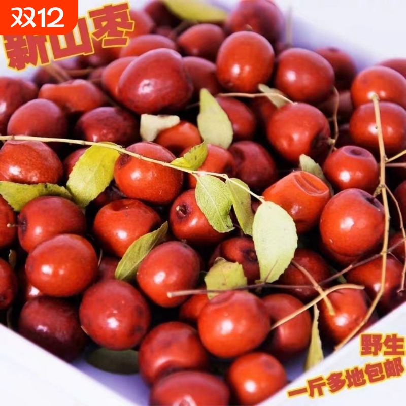 正品山西特产野生酸枣果新鲜原味野山枣孕妇休闲零食解馋酸味泡酒