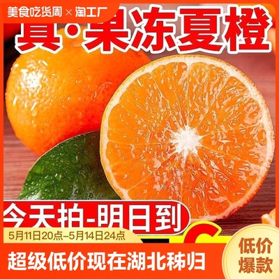 【超级低价】现在夏橙湖北秭归冰糖橙新鲜应季水果薄皮小橙子脐橙