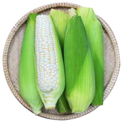 象山白糯玉米新鲜现摘带皮甜玉米