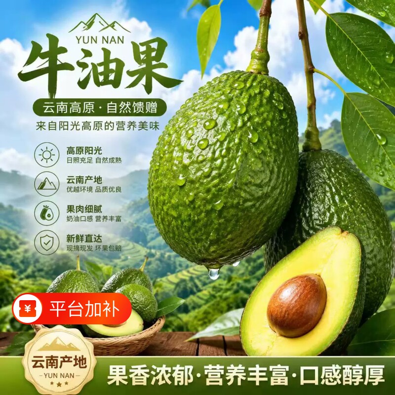 云南哈斯牛油果国产当季鳄梨特大果新鲜水果非进口熟透果8个整箱