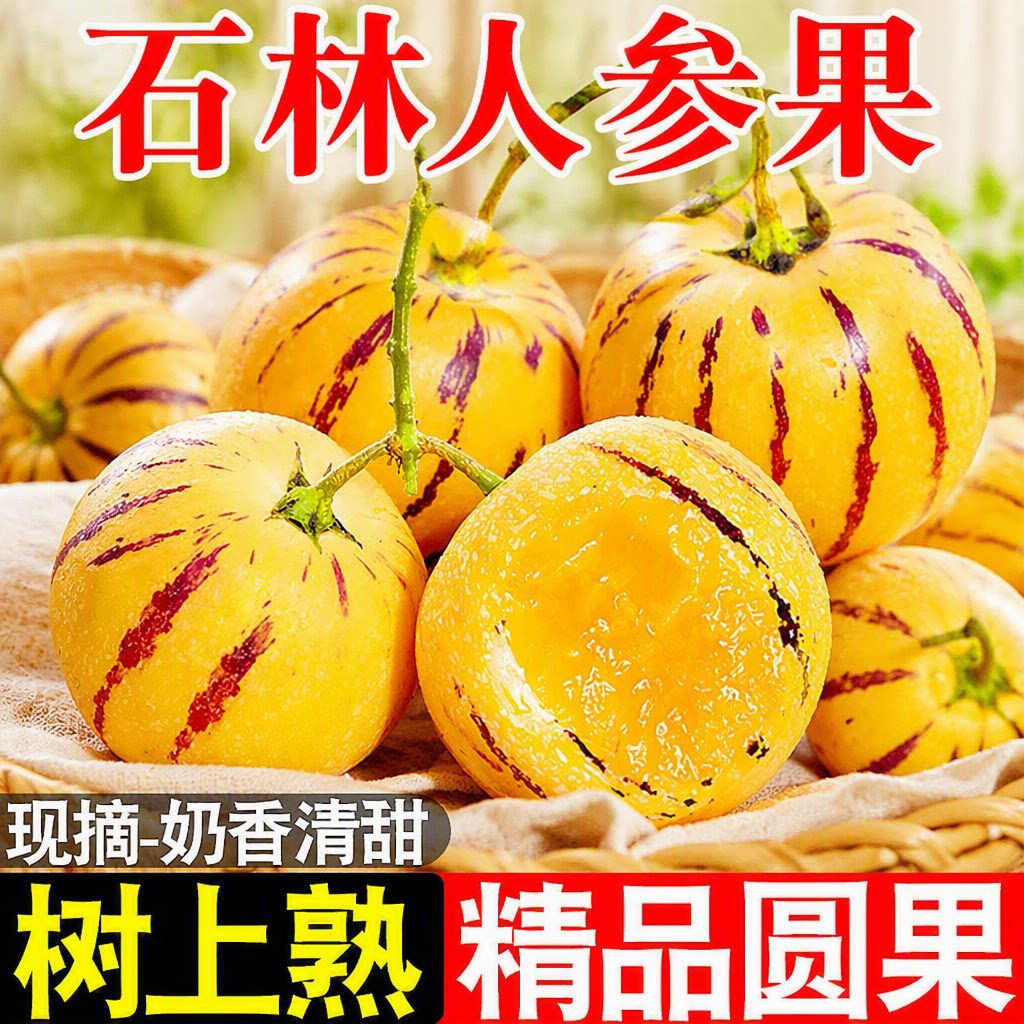 云南人参果新鲜水果圆果黄肉整箱包邮石林大果树上熟树熟甄选现摘