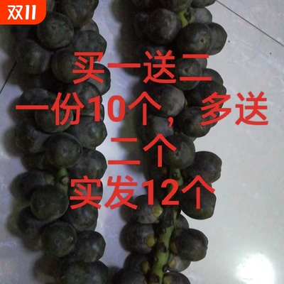 追风野生越南泡酒鲜果