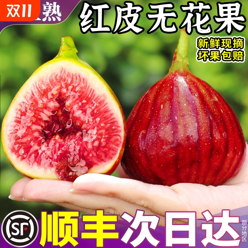 顺丰红皮无花果鲜果树上熟大果当季现摘新鲜水果青红皮包邮糖包子
